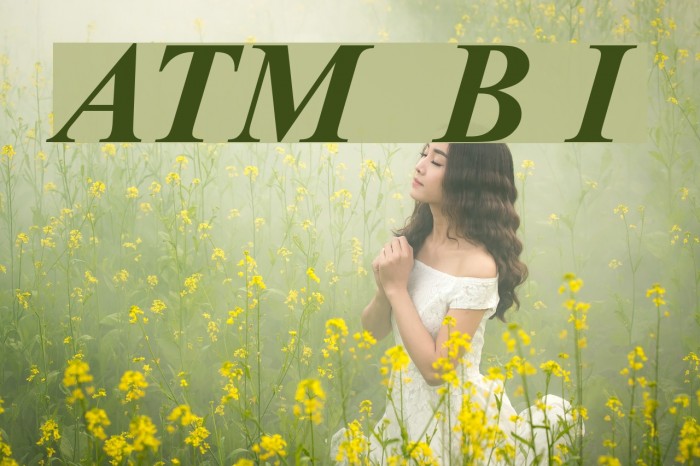 ArTarumianMatenagir Bold Italic Font examples