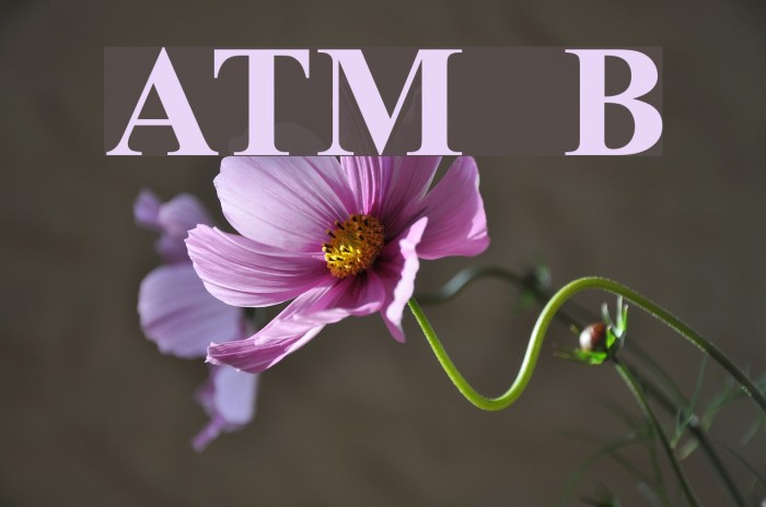 ArTarumianMatenagir Bold Font examples