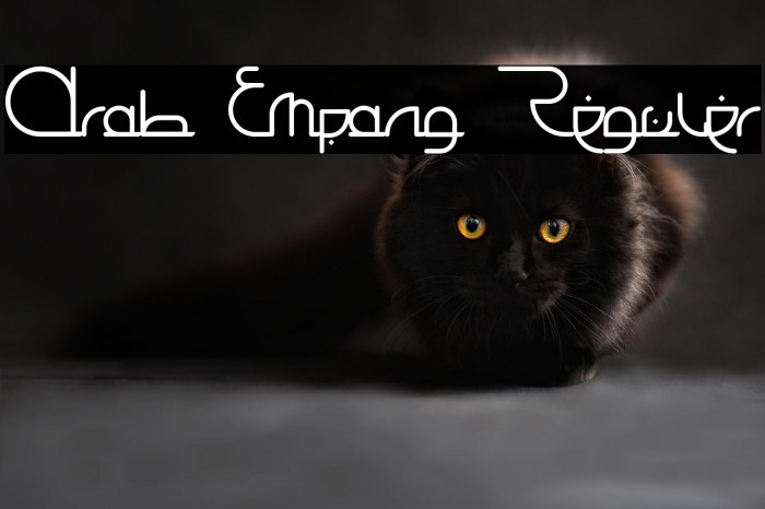 Arab Empang Reguler Example 2