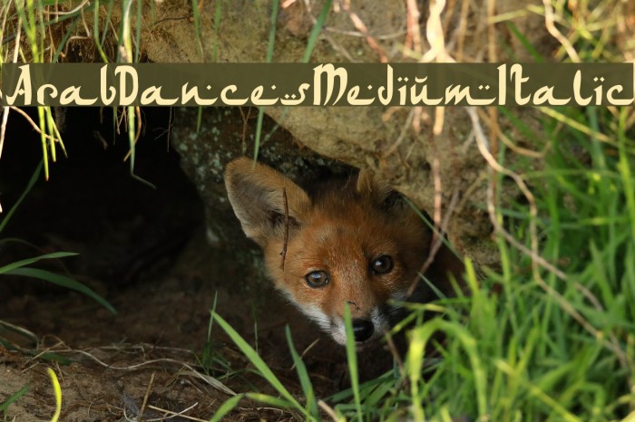 ArabDancesMediumItalic Font examples