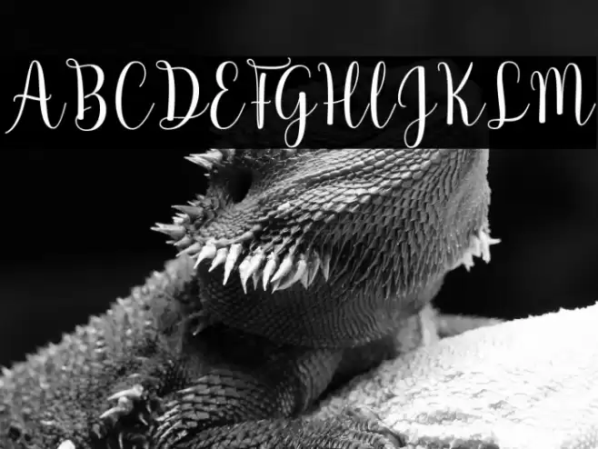 Arabela-Regular Font examples