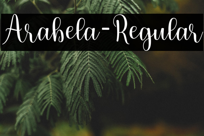 Arabela-Regular Example 1