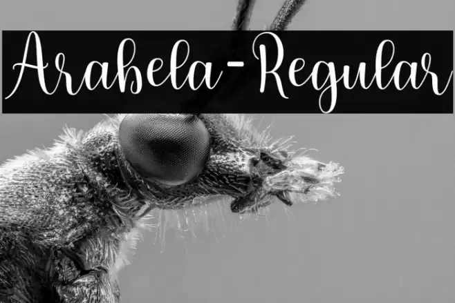 Arabela-Regular Font examples