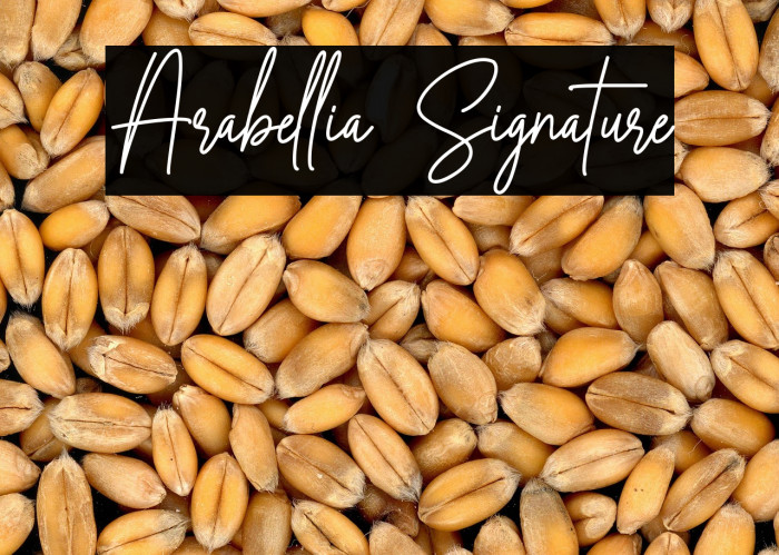 Arabellia Signature Example 2