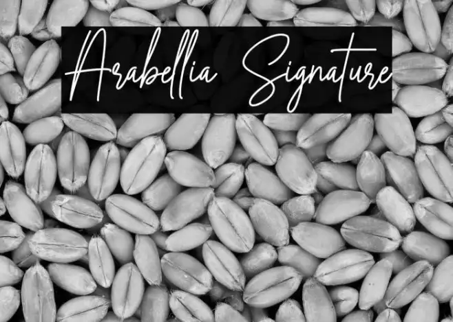 Arabellia Signature Example 2