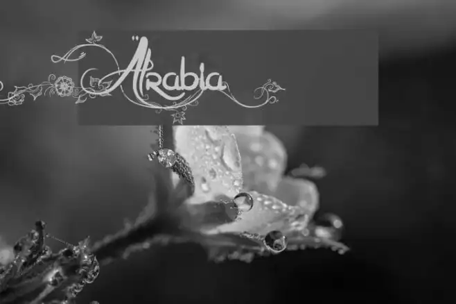 Arabia Example 2
