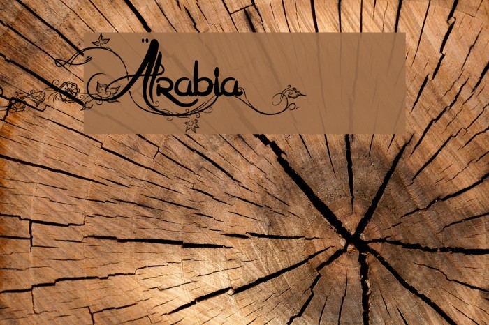 Arabia Font examples