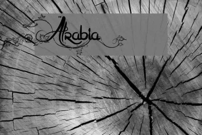 Arabia Example 3