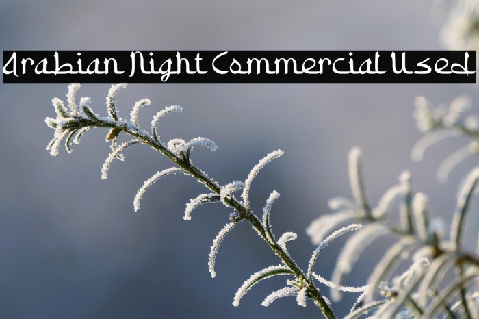 Arabian Night Commercial Used Example 3