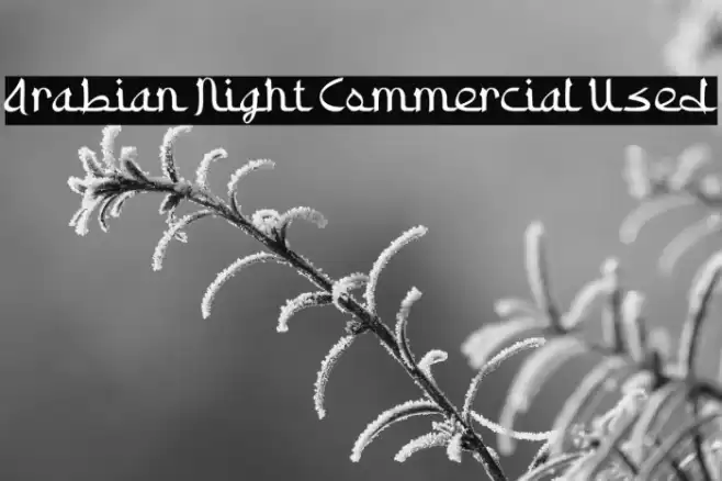 Arabian Night Commercial Used Font examples