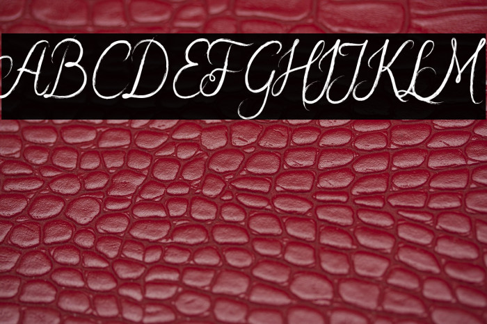 ArabianScript Example 2