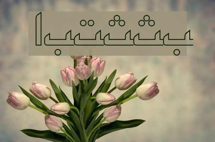 ArabicKufiOutlineSSK Font examples