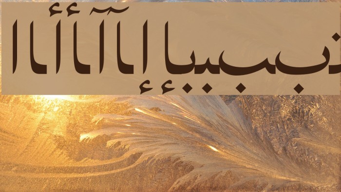 ArabicNaskhSSK Caratteri examples