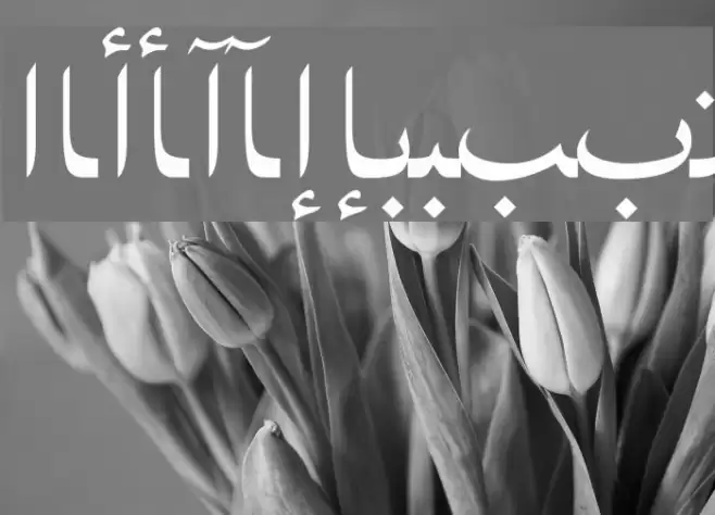 ArabicNaskhSSK Font examples