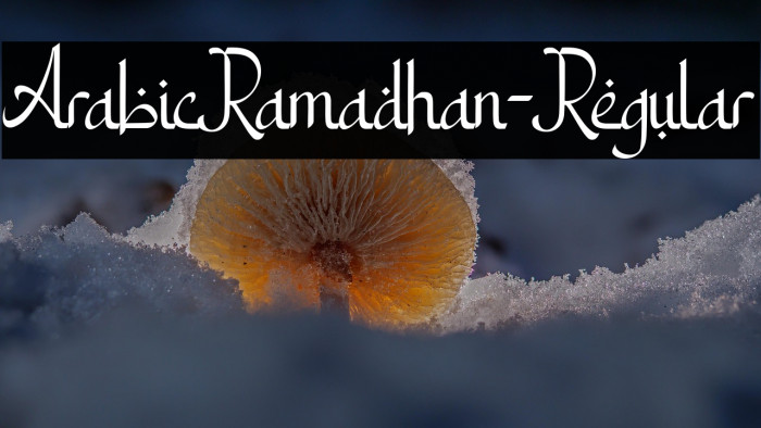 ArabicRamadhan-Regular Example 3