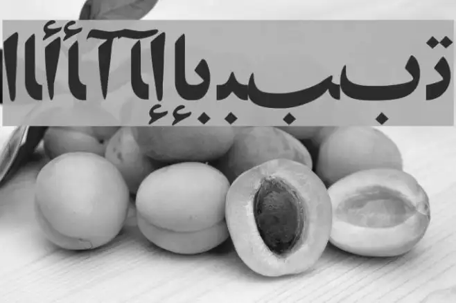 ArabicZibaSSK Example 2