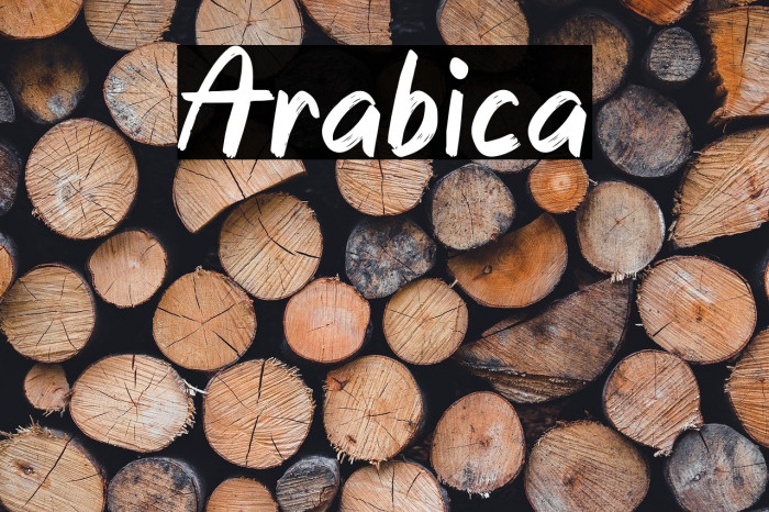 Arabica خط examples