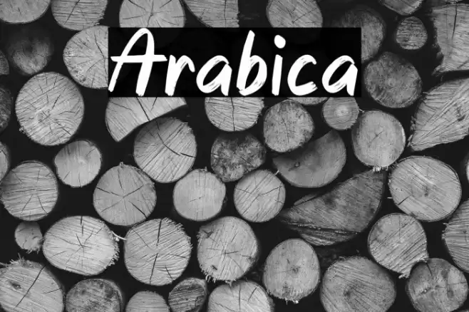 Arabica Font examples