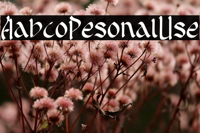 Arabico Personal Use Example 1