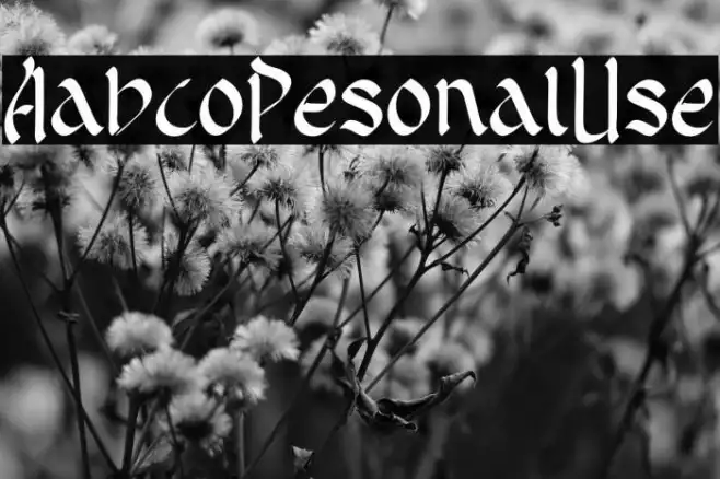 Arabico Personal Use Example 1