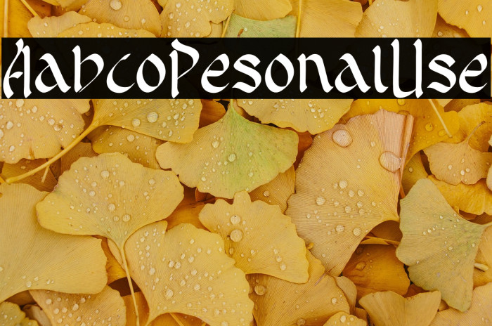 Arabico Personal Use Example 2