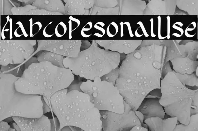 Arabico Personal Use Example 2