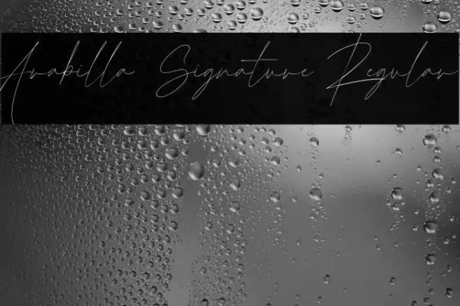 Arabilla Signature Regular Example 1