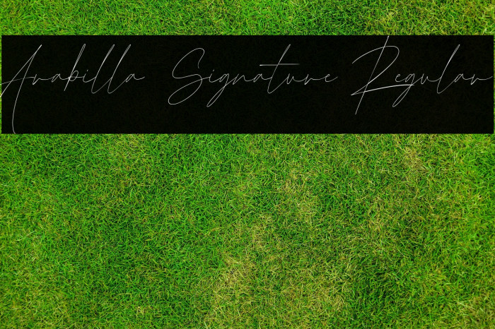 Arabilla Signature Regular Example 3