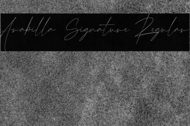 Arabilla Signature Regular Example 3