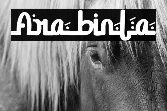 Arabinta Font examples