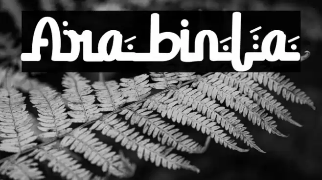 Arabinta Font examples