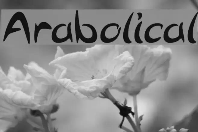 Arabolical Font examples