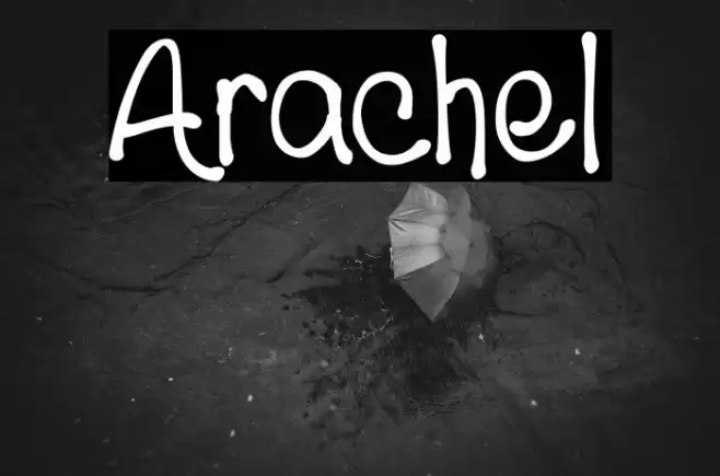 Arachel Polices examples