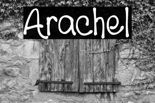 Arachel Polices examples