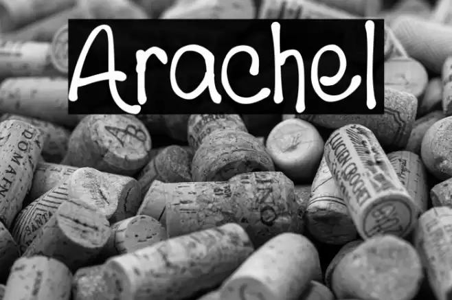 Arachel Polices examples