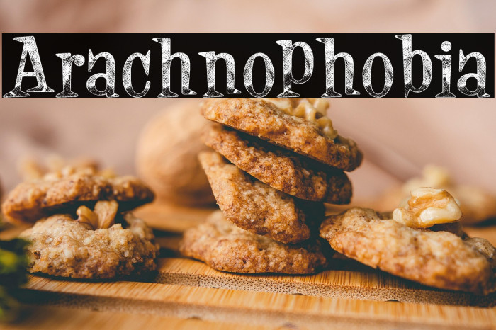 Arachnophobia Example 1