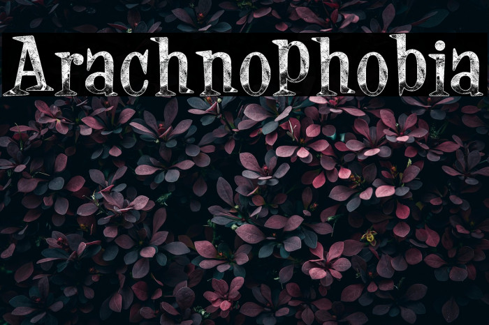 Arachnophobia Example 2