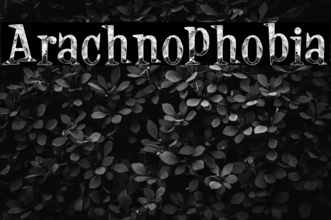 Arachnophobia Font examples
