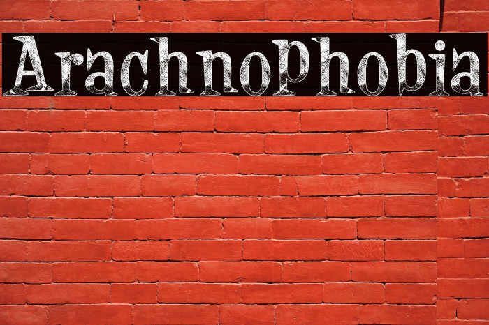Arachnophobia Example 3