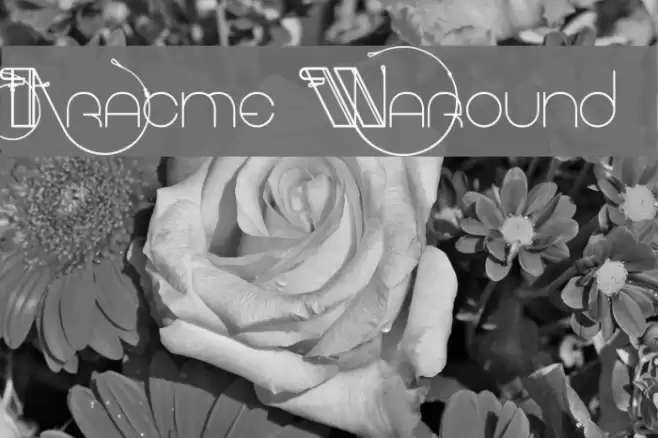 Aracme Waround Font examples