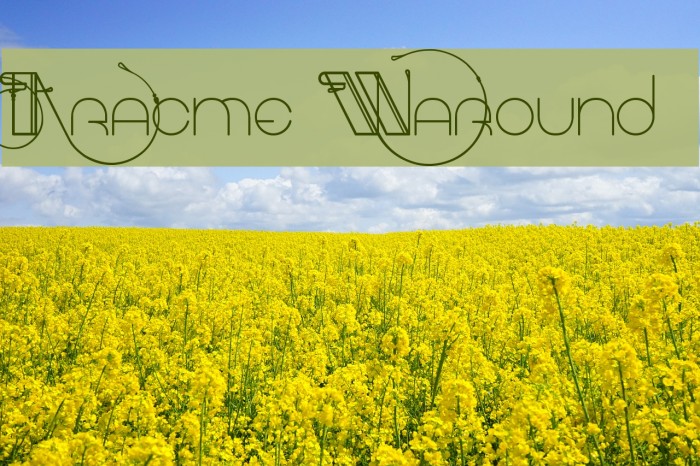 Aracme Waround Font examples