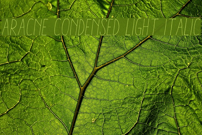 Aracne Condensed Light Italic Font examples