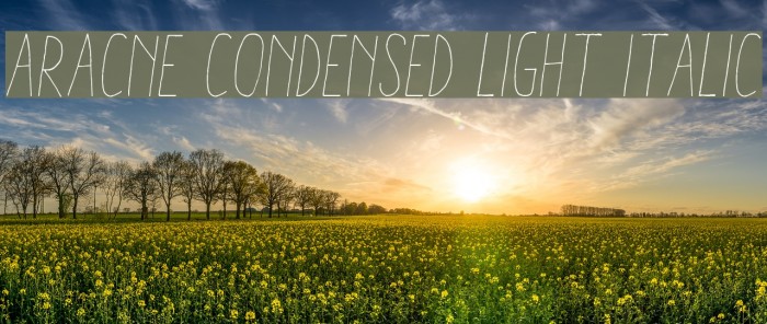 Aracne Condensed Light Italic Font examples