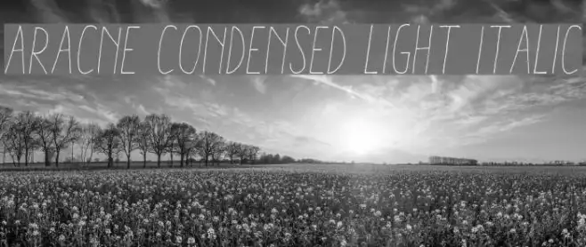 Aracne Condensed Light Italic Example 3