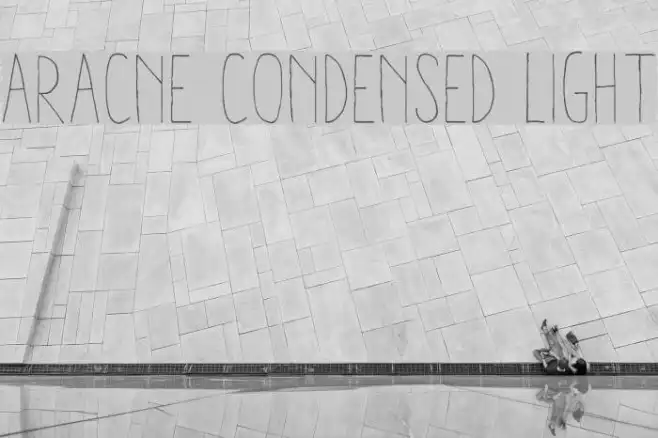 Aracne Condensed Light Example 2
