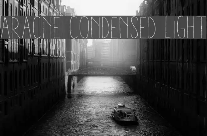 Aracne Condensed Light Example 3