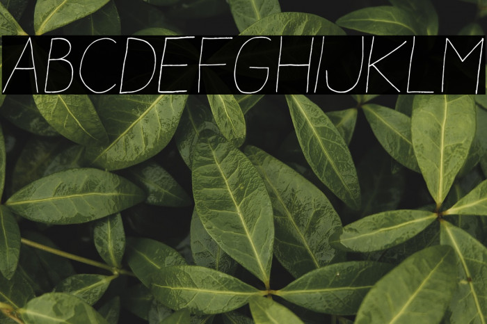 Aracne Light Italic Example 2