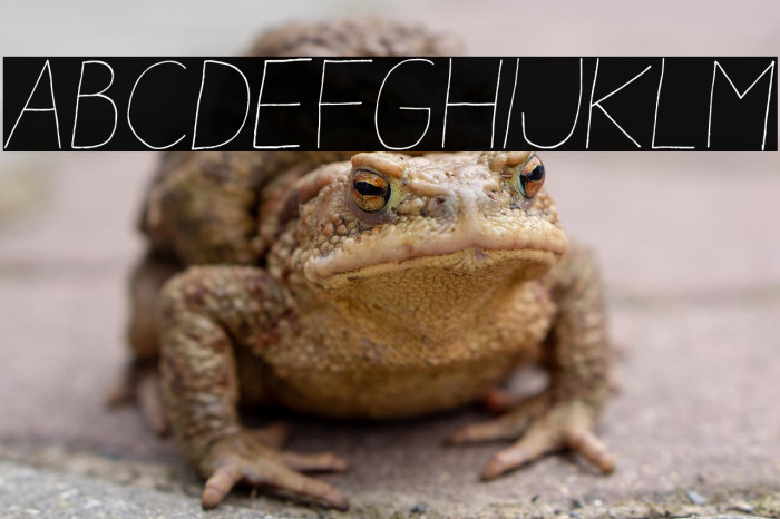 Aracne Light Italic Example 3