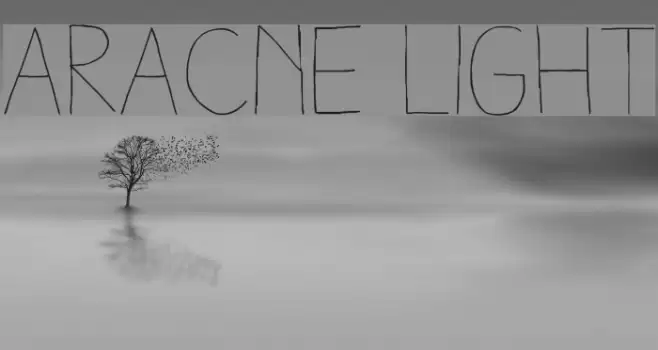 Aracne Light Font examples