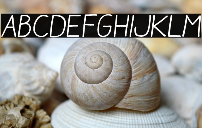 Aracne Regular Italic Example 2